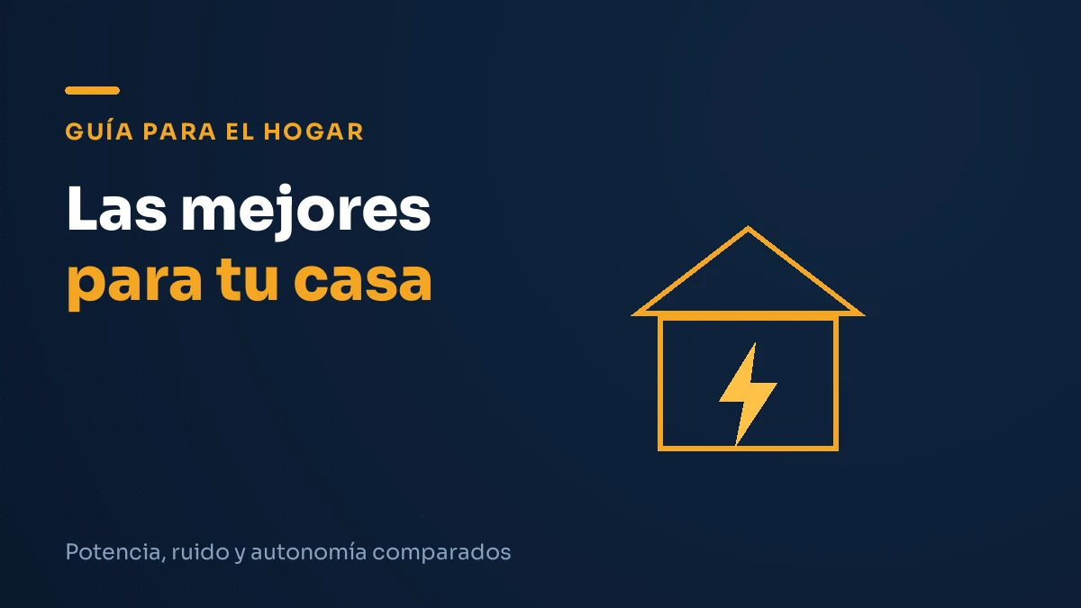 Ilustración editorial: guía de las mejores plantas de luz para casa