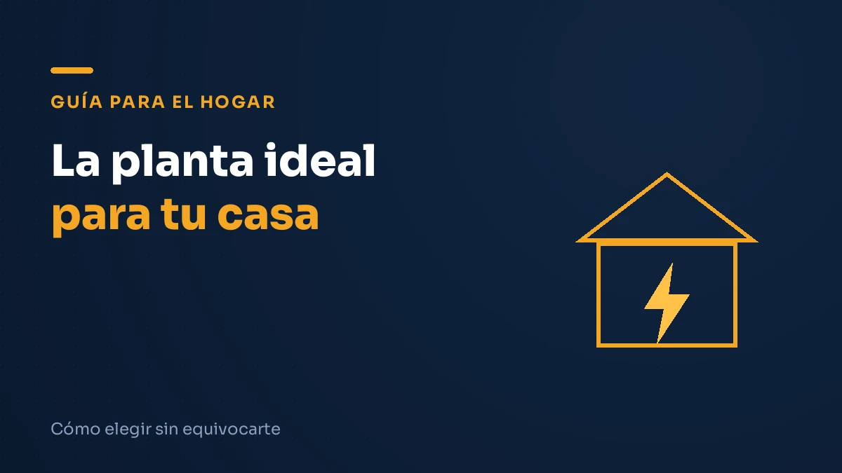 Ilustración editorial: la planta ideal para tu casa